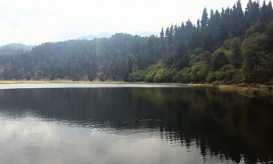 Laguna Victoria image