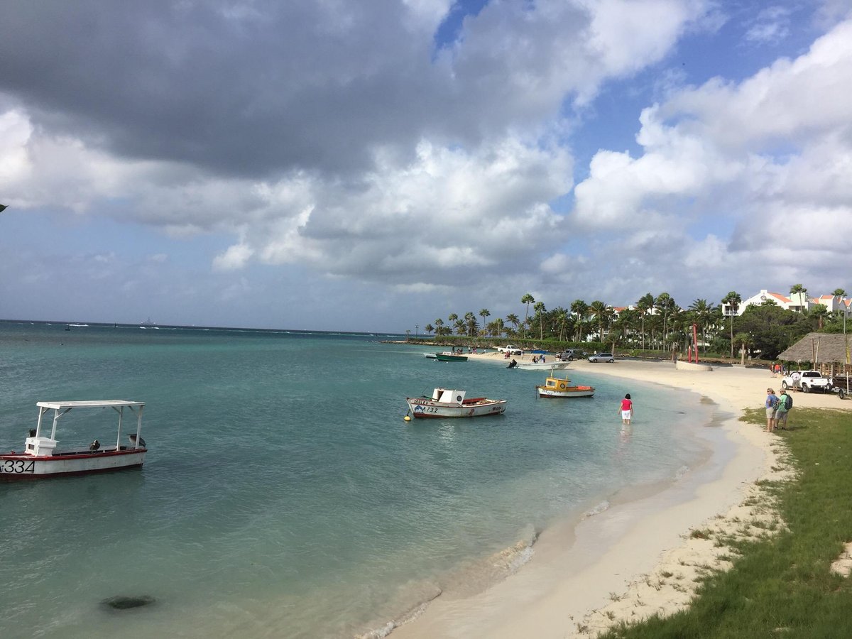 Aruba Flyboard - All You Need to Know BEFORE You Go (2024)