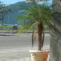 Itaguá