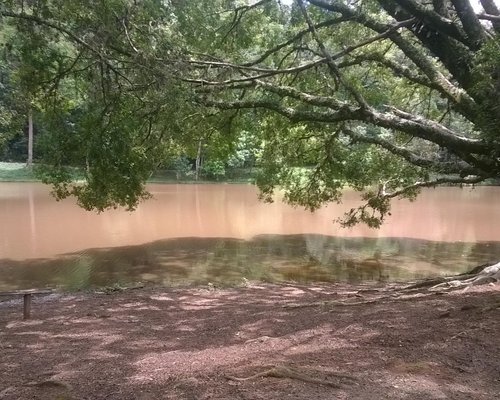 O QUE FAZER NO PARQUE DA CIDADE DE JUNDIAÍ? 🤔 Separei aqui uma listin