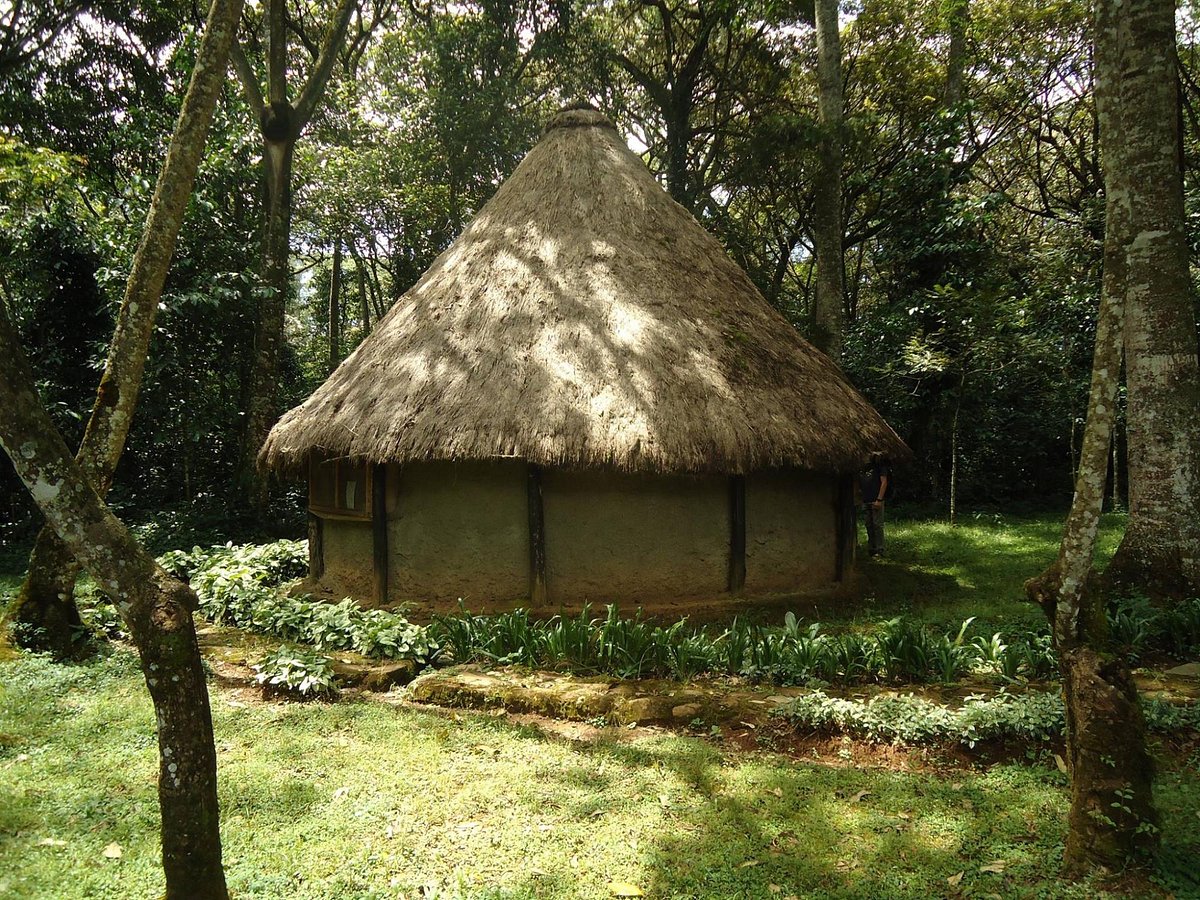 KEEP BANDAS AT KAKAMEGA FOREST - отзывы и фото - Tripadvisor