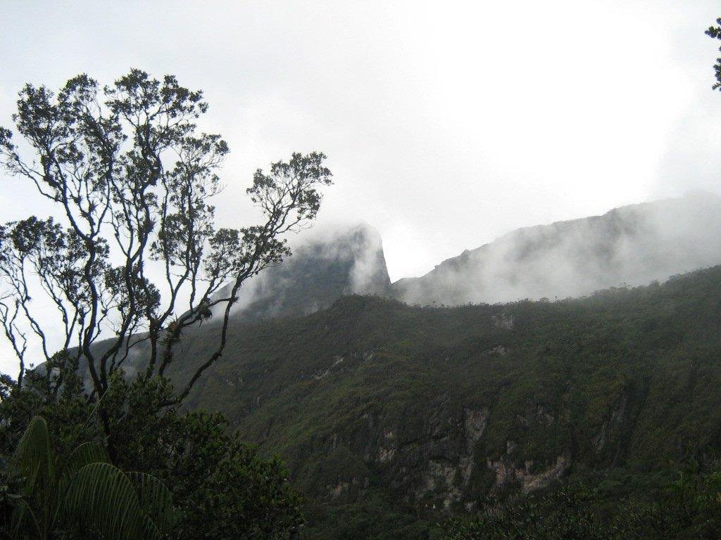 Pico da Neblina”, a nova série brasileira lança a questão: e se a erva  fosse legal? – NiT