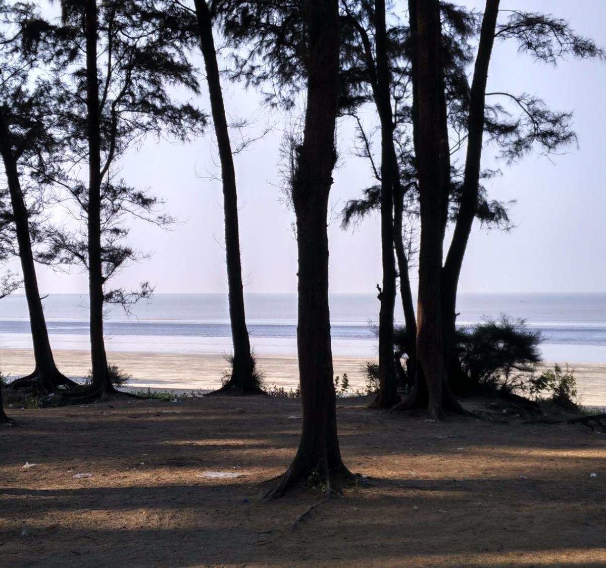 Kelwa Beach - All You Need to Know BEFORE You Go (2024) - Tripadvisor