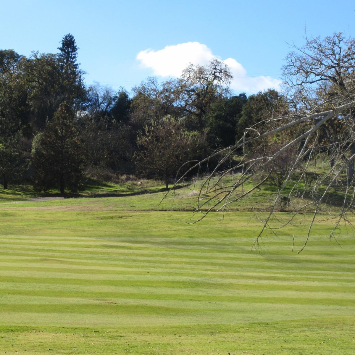 GILROY GOLF COURSE (2025) All You Should Know Before You Go (with Reviews)