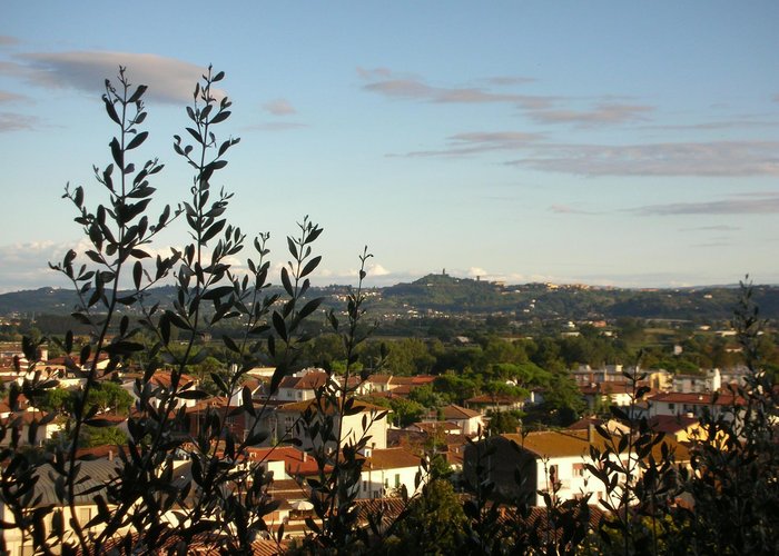 Panorama 1
