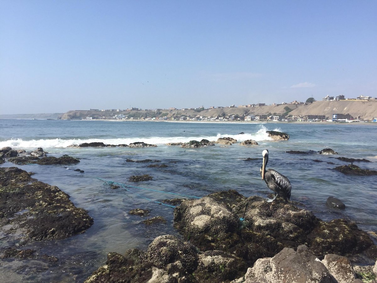 Playa Chorrillos - All You Need to Know BEFORE You Go (2024)