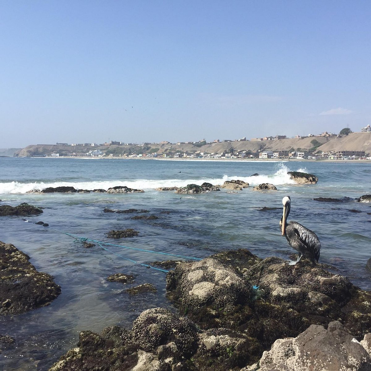 Playa Chorrillos Barranca All You Need To Know Before You Go