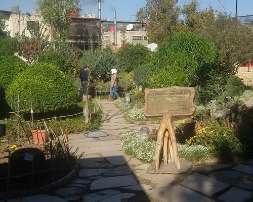 jøde Encommium modbydeligt THE 5 BEST Parks & Nature Attractions in Damascus - Tripadvisor
