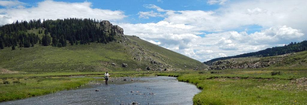 Land of Enchantment Fly Fishing Guides