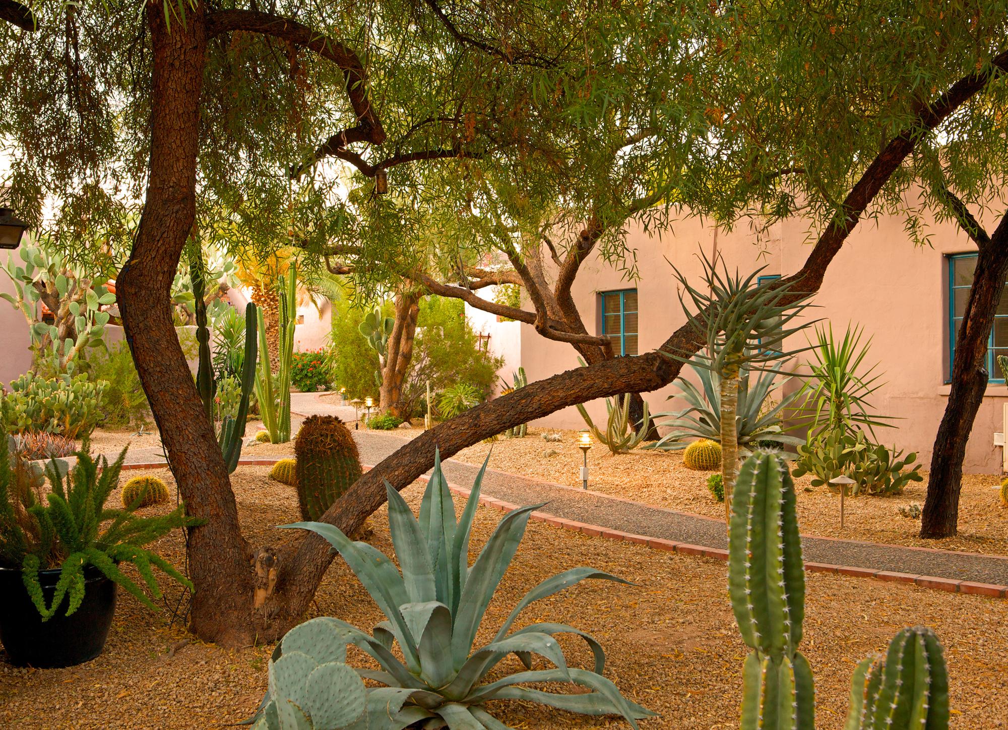 Hotel photo 48 of Lodge On The Desert.