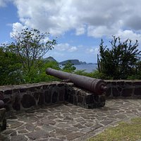 Fort Hamilton canons