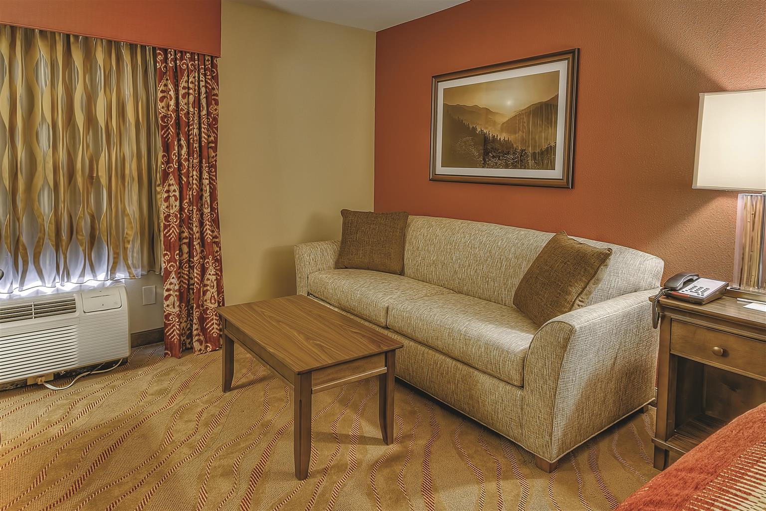 Hotel photo 35 of La Quinta Inn & Suites by Wyndham Pigeon Forge.