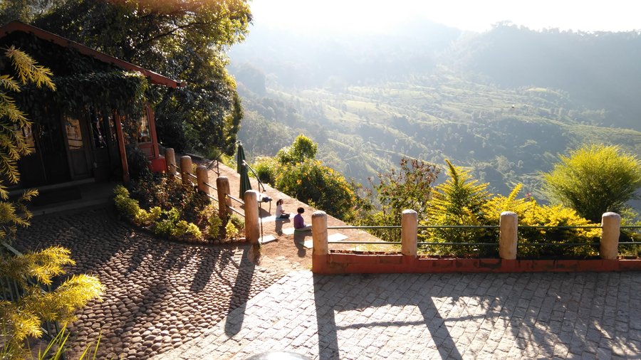 Yoga at Blackberry Hills