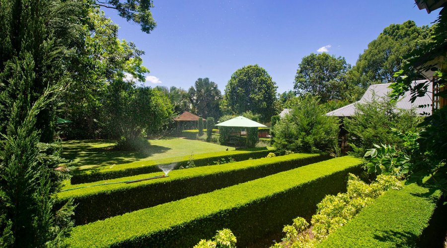 Allumbah's famous function area big enough to host 50 people
