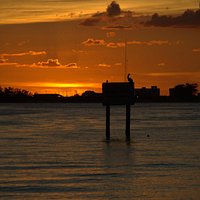terrific sunset
