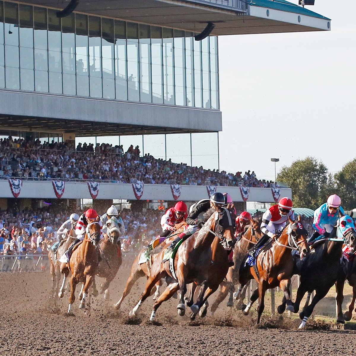 Emerald Racing Club - Emerald Downs