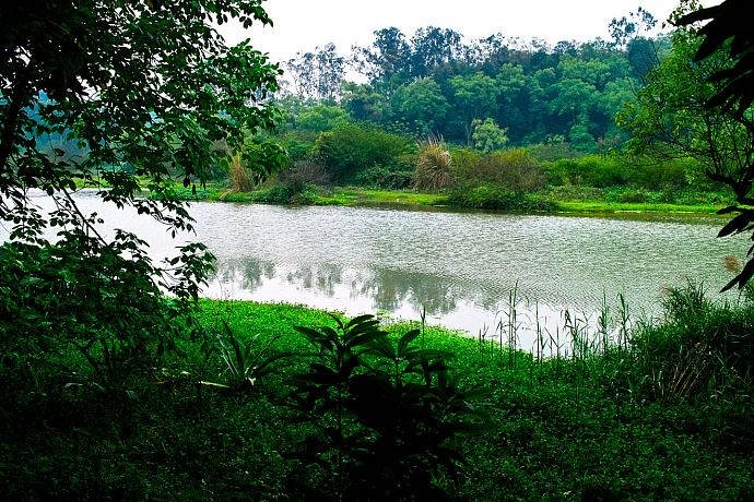 Liangfeng River Forest Park of Nanning image