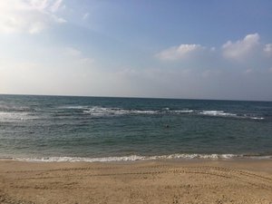 Pool & Beach