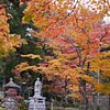 Things To Do in Saimyo-ji Temple Nitemmon, Restaurants in Saimyo-ji Temple Nitemmon