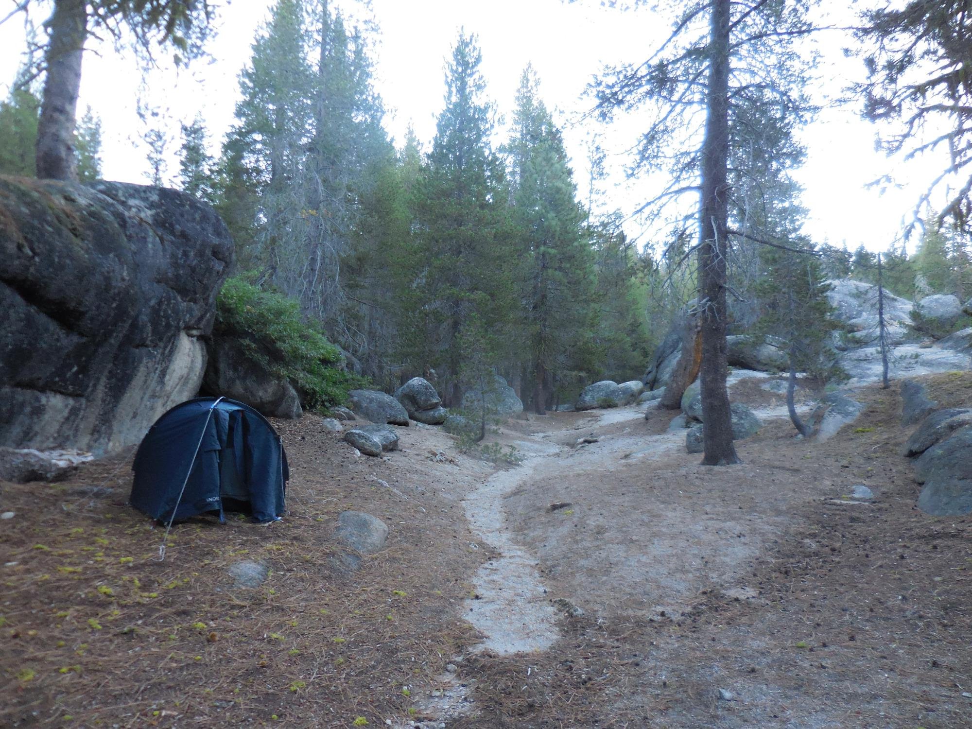 Yosemite Creek Campground Yosemite National Park Californië Fotos