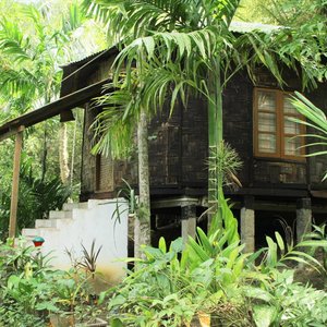 Nicobari Cottage