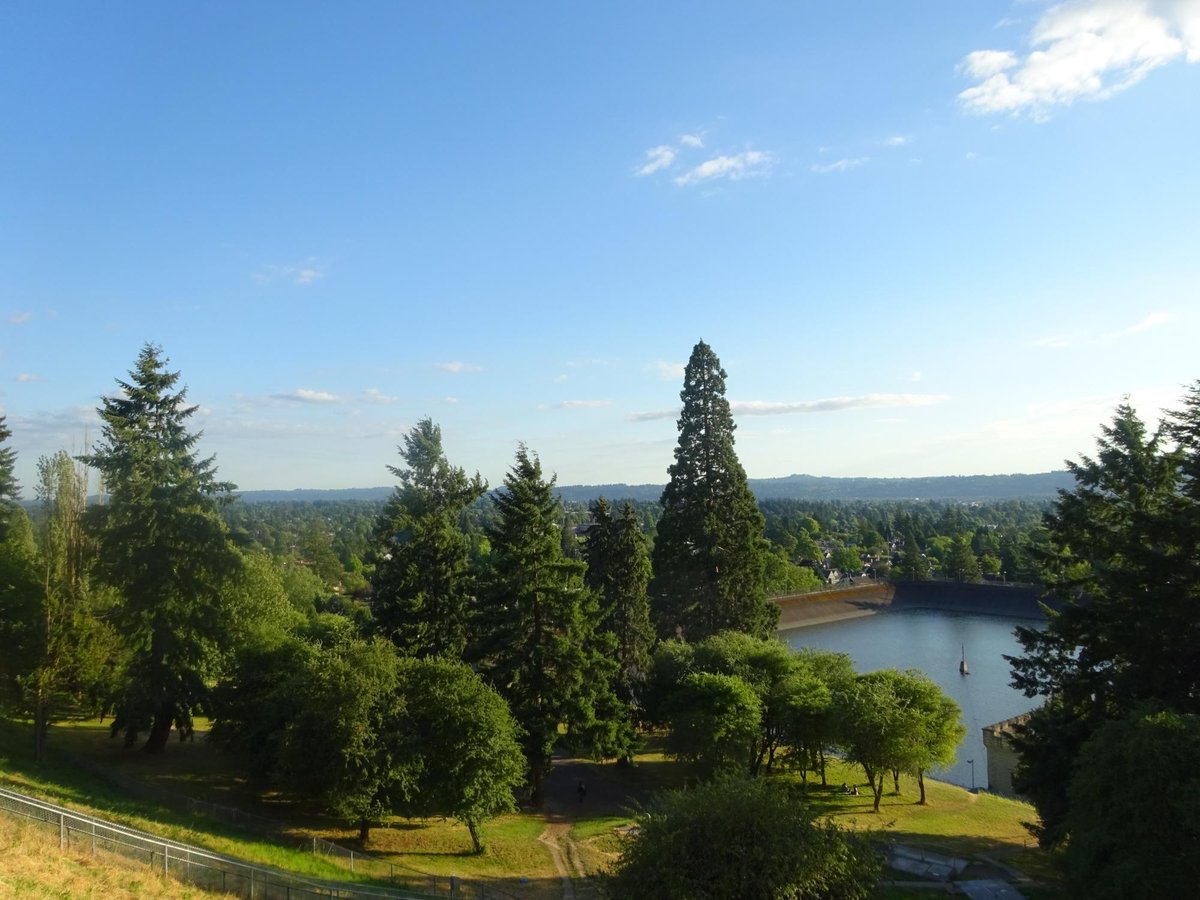 tabor 