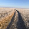 TravellinCalgarian