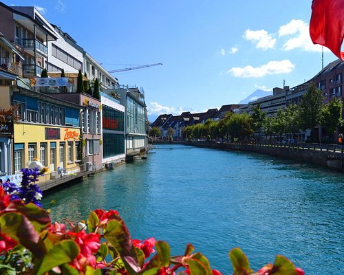 THE 15 BEST Things to Do in Thun - 2024 (with Photos) - Tripadvisor