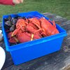 Lobsterlover99