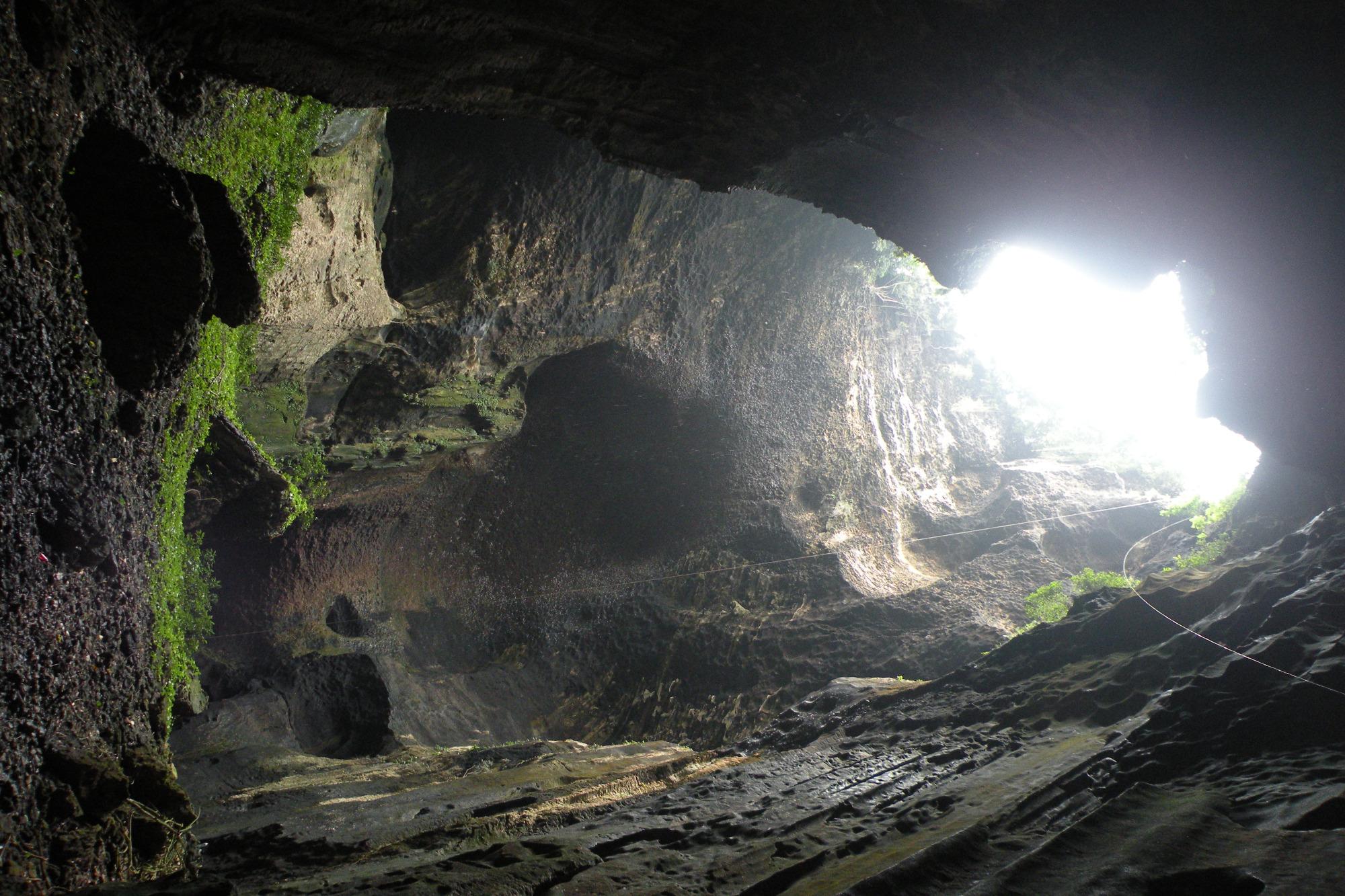 Gomantong Cave Sandakan All You Need to Know BEFORE You Go 2024