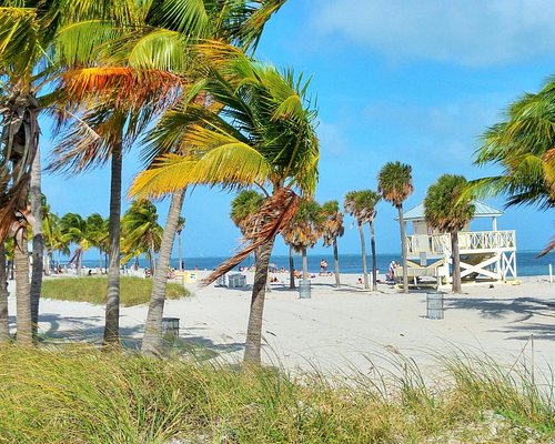 THE 15 BEST Things to Do in Key Biscayne (Updated 2024)
