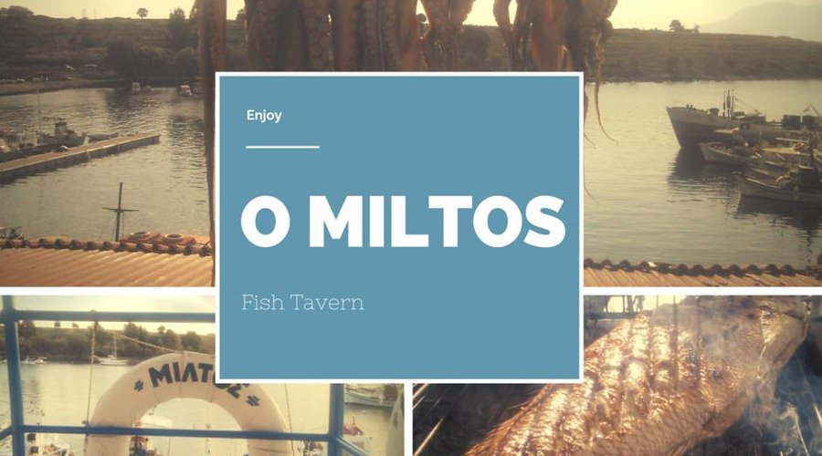 Miltos fish tavern