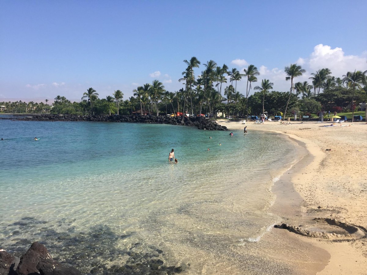 Mauna Lani Point Reviews