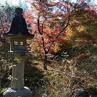 灯篭が美しい