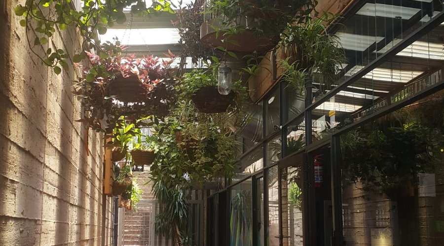Outside 'corridor' area - love the greenery!