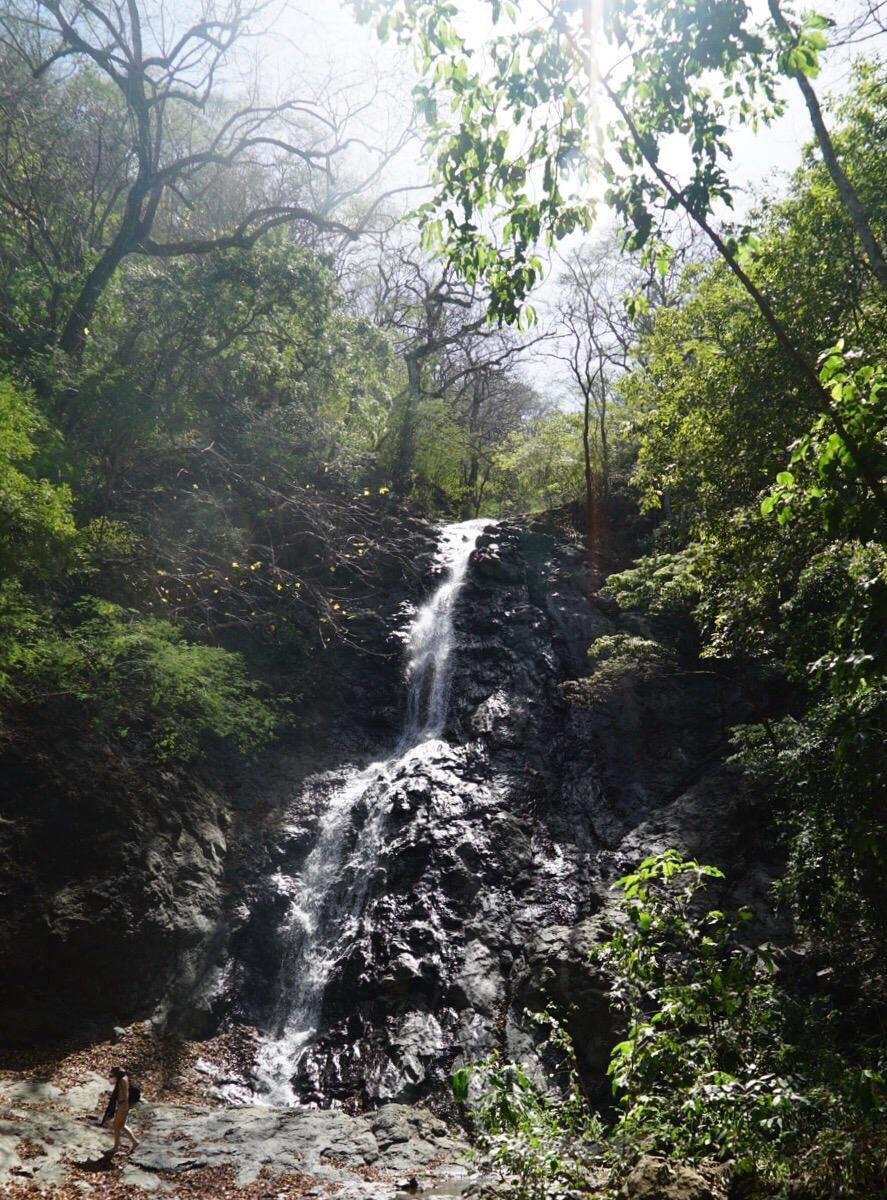 DIRIA NATIONAL PARK (Nicoya): Ce qu'il faut savoir pour votre visite ...