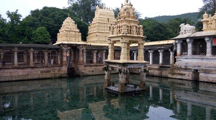 Picture of Mahanandi