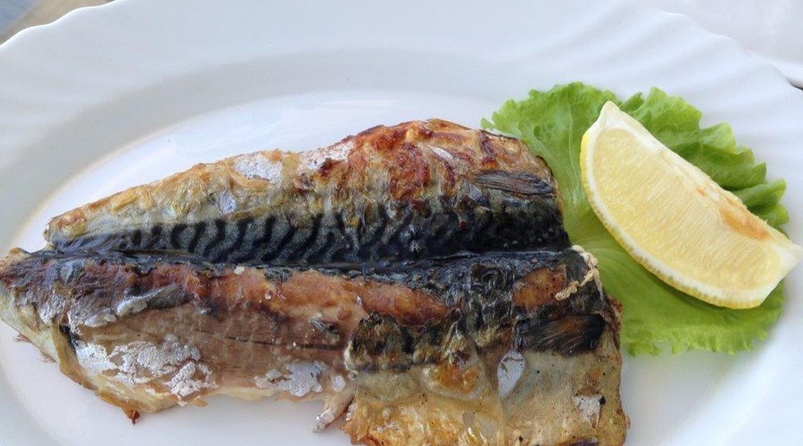 Mackerel