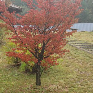 Matsui Hideki Baseball Museum - All You Need to Know BEFORE You Go (with  Photos)