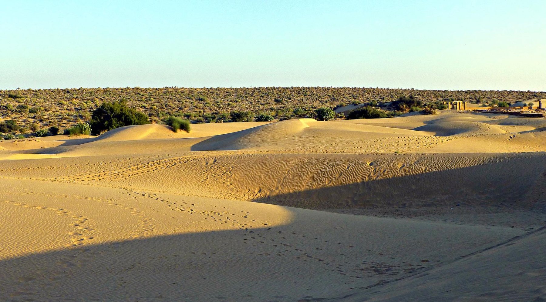 Desert National Park- Safari (2024) All You Need To Know Before You Go 