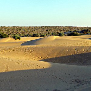 desert safari thar desert