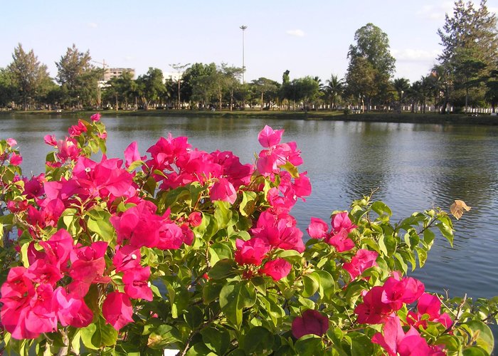 Pretty scenes around the southern inner lake