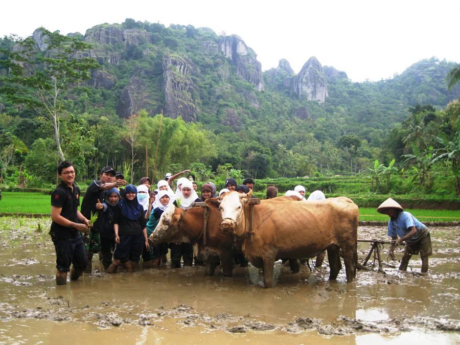 10 Objek Wisata Terbaik Di Gunung Kidul - Tripadvisor