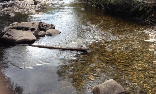 Derwent Bridge, Australia 2023: Best Places to Visit - Tripadvisor