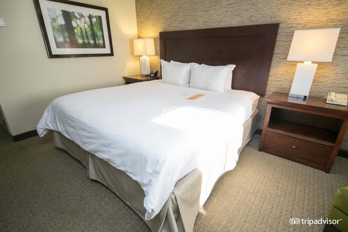 Courtyard by Marriott Pittsburgh University Center - hotel rooms