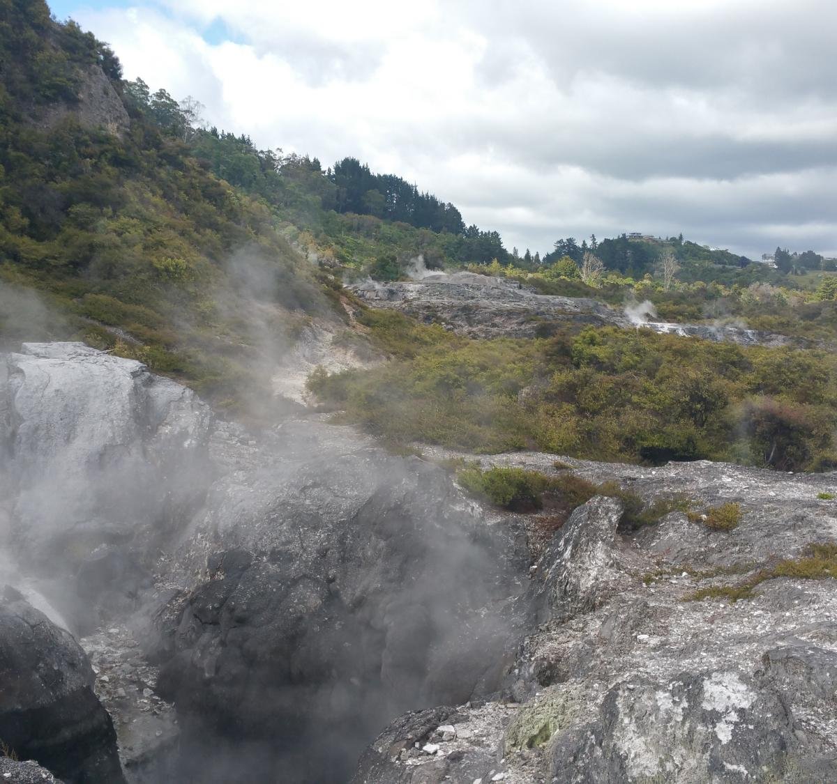 Whakarewarewa - The Living Maori Village, Роторуа: лучшие советы перед  посещением - Tripadvisor