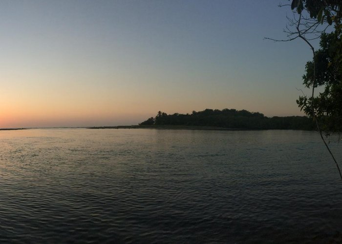 Vista desde Puerto Coyote