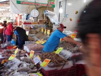 Mercado del Mar (Guadalajara) - 2023 Lo que se debe saber antes de viajar -  Tripadvisor