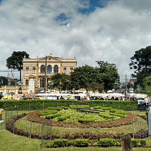 Family and sex in Curitiba