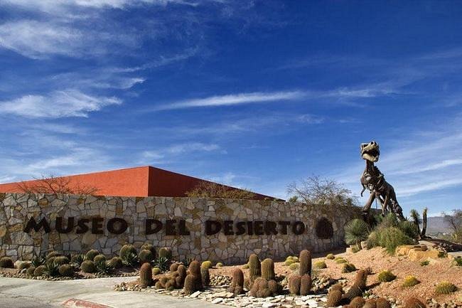 Museo del Desierto image